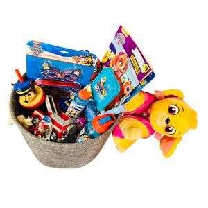 Pawpatrol gift basket with pillow pets Skye plush swim goggles with case bubbles